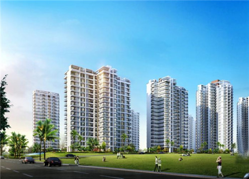 Black Airplane 黑潮饮品