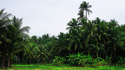 万州程师傅牛肉面
