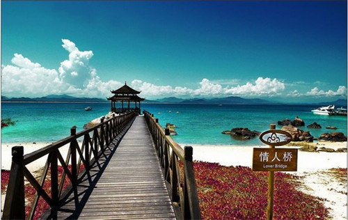 新西兰岩烧乳酪