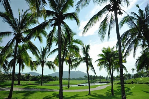 加盟费成本怎么做账分录，加盟费成本怎么做账