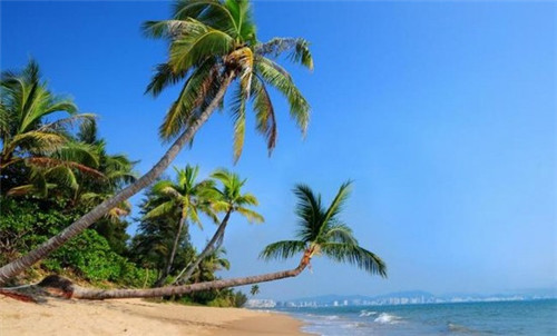 616161是什么歌（65656165323是什么歌）