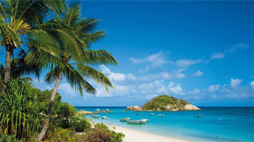 东北炒豆干怎么炒好吃（家常炒豆干的做法）