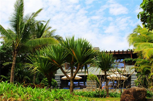 辽篮现在排行榜（辽篮排行榜2020）