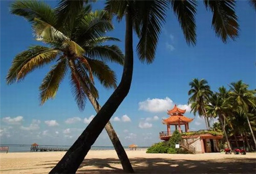 2026行李包加盟店受欢迎项目有哪些