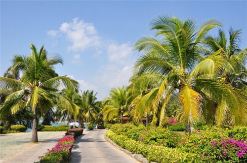 新快手怎么转发视频（新快手怎么转发视频到微信）